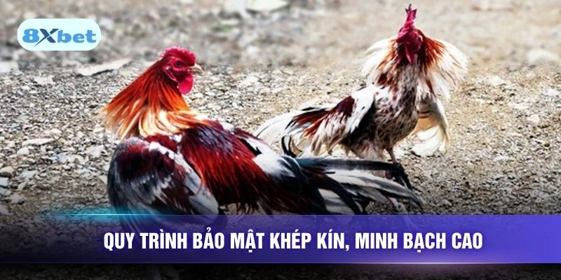 Quy trình bảo mật khép kín, minh bạch cao