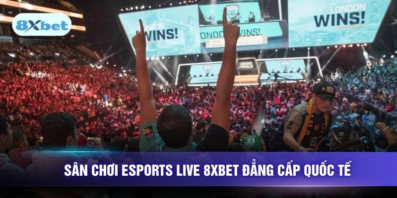 Sân chơi Esports live 8XBET đẳng cấp quốc tế