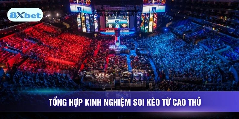 Tổng hợp kinh nghiệm soi kèo từ cao thủ